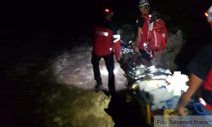 Update. BRAȘOV. Bătaie la cules de afine! 5 | MyTex.ro