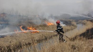 incendiu de vegetație | MyTex.ro