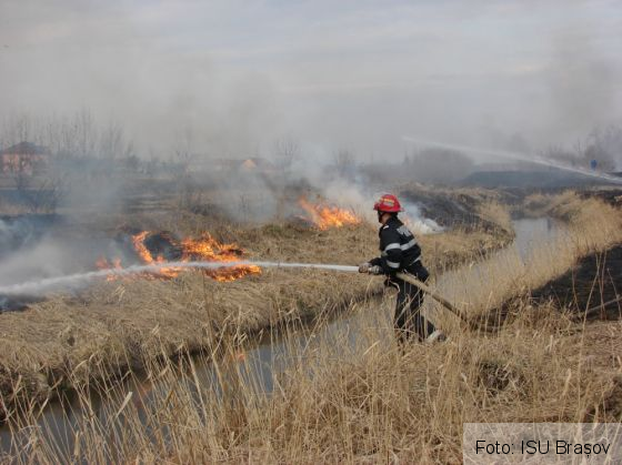 BRAȘOV. Trei incendii de vegetație, în ultimele 24 de ore, unul lângă DN 1 / Update: Încă două alerte, astăzi! 5 | MyTex.ro