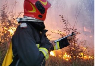 incendiu de vegetație | MyTex.ro