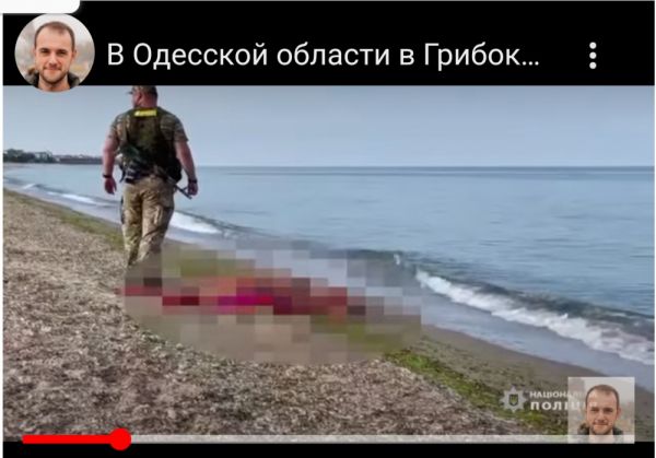 Screenshot_20220612-201454_Chrome Beta_297537.jpg