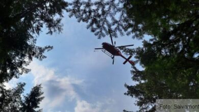 autoturism | MyTex.ro