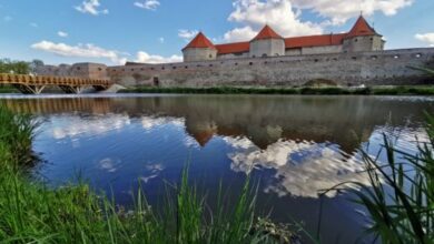Festival medieval | MyTex.ro