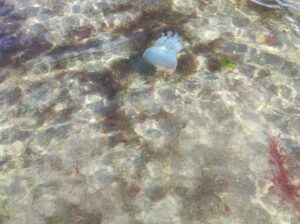 Vreme de mers la mare | MyTex.ro