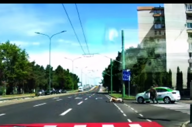 accident2_298010.png