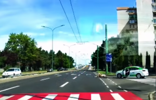 accident_298008.png