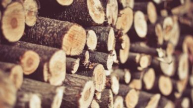 material lemnos | MyTex.ro