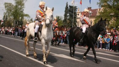 | MyTex.ro