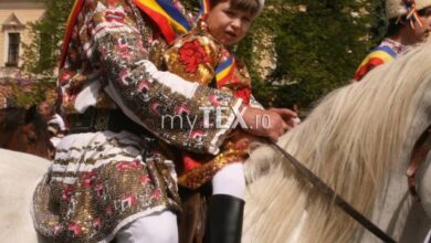 | MyTex.ro