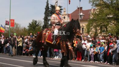 | MyTex.ro