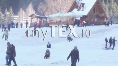 | MyTex.ro