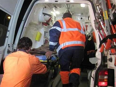 Atacat de urs la Predeal 5 | MyTex.ro