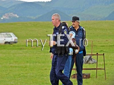 article_435530_4.jpg