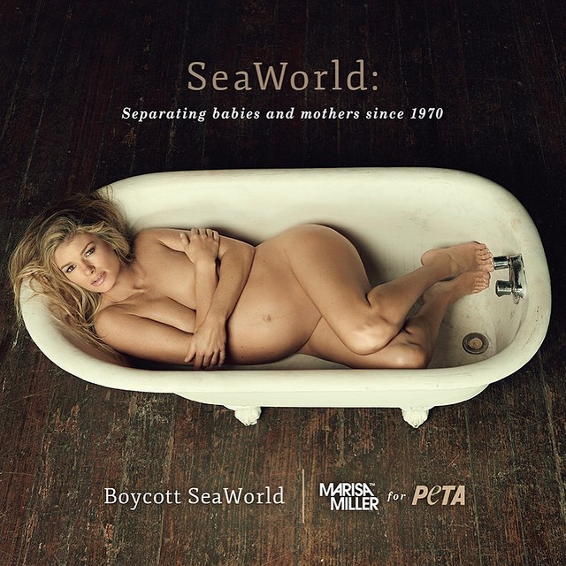 PENTRU O CAUZĂ NOBILĂ. Gravidă de top goală în cadă!!! 9 article_435548_2.jpg