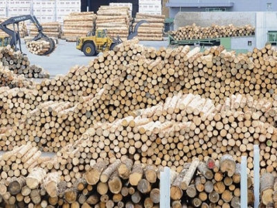 UPDATE. Holzindustrie Schweighofer, ce reacție originală! 5 | MyTex.ro