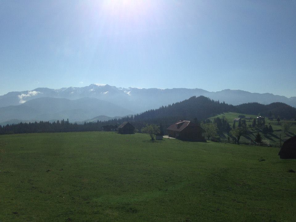 BRAȘOV. Inspecţie la Cheile Grădiștei!!! Reacţia oficialilor FIS... 15 article_436294_2.jpg