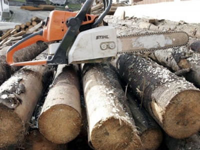 BRAȘOV. Întâlnire de lucru la Poliție, pe tema infracțiunilor silvice 5 | MyTex.ro