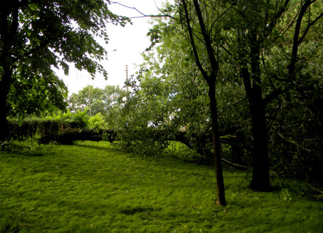 Electrocutaţi de cablurile doborâte de furtună 5 | MyTex.ro