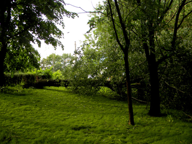 Electrocutaţi de cablurile doborâte de furtună 6 article_436725_1.jpg