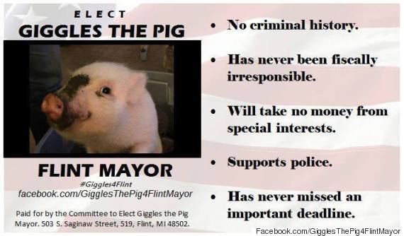 Un porc printre politicieni! Candidează pentru funcţia de primar! 9 article_436743_2.jpg