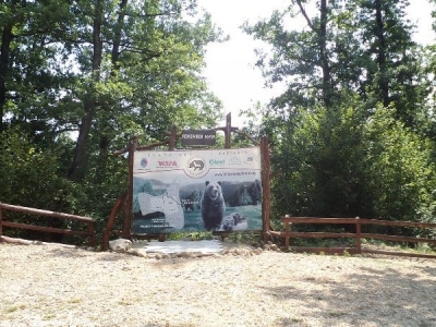 BRAȘOV. Urșii de la Zărnești, vizitați de profesori străini 5 | MyTex.ro