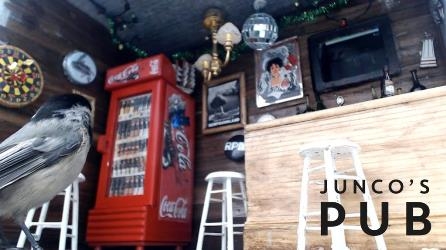bar1_183671.jpg