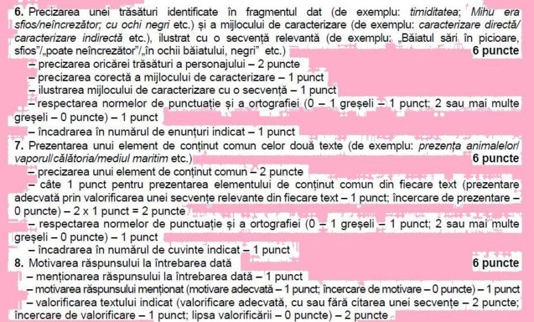 EN 2022. AICI, subiectele complete și baremele de notare / Subiect diferit pentru elevii care studiază în maghiară 5 | MyTex.ro
