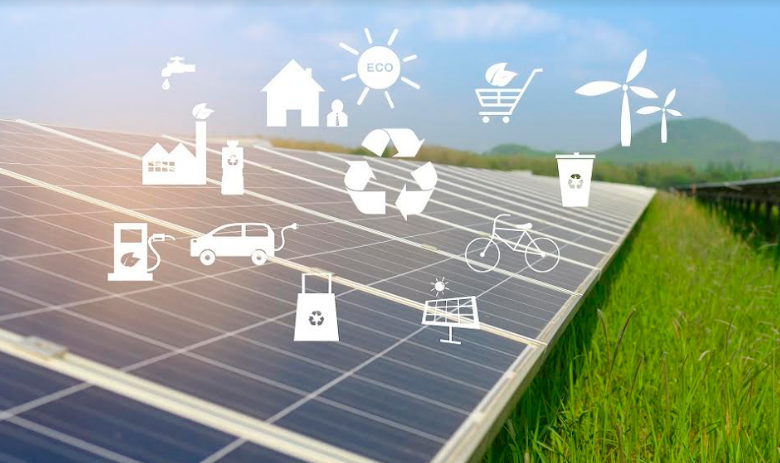 România eco-friendly. 5 trenduri sustenabile, pe val la nivel mondial, câștigă teren și la noi în țară 5 | MyTex.ro
