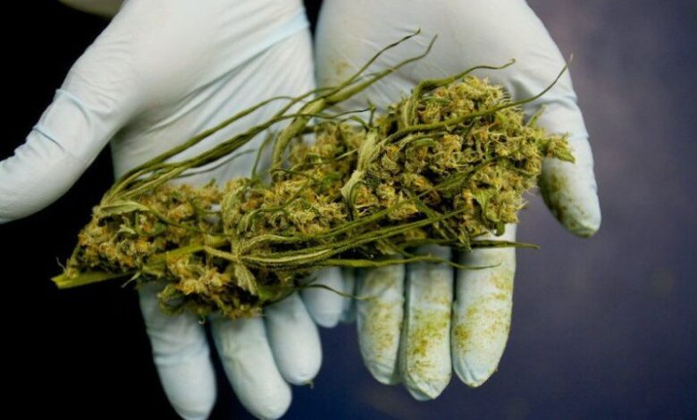 BRAȘOV. Șofer consumator de cannabis, oprit pentru control pe Calea Făgărașului 5 | MyTex.ro