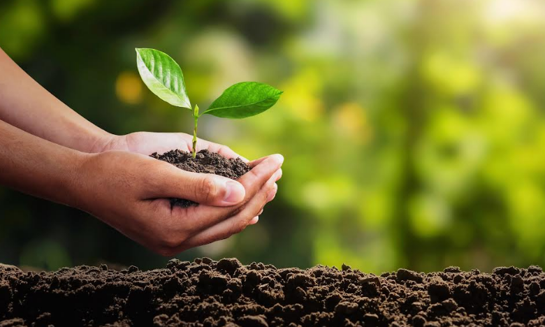 Ați pregătit compostul pentru plantările de primăvară? Iată patru moduri în care îl puteți aplica pe sol 5 | MyTex.ro