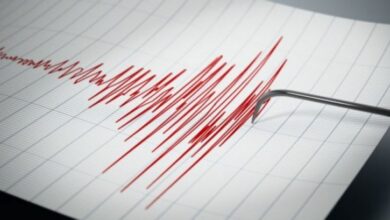 Motivul pentru care China | MyTex.ro