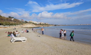 Vreme de mers la mare | MyTex.ro
