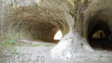 Câte adăposturi au brașovenii în județ | MyTex.ro