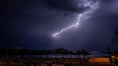 Un român din Italia și-a dat foc în fața soției | MyTex.ro