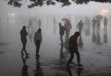 ALERTĂ METEO | Brașovul, sub Cod Galben și Cod Portocaliu de furtuni: Rafale de până la 90 km/h în sud-estul județului 5 Ultima zi de petreceri | MyTex.ro