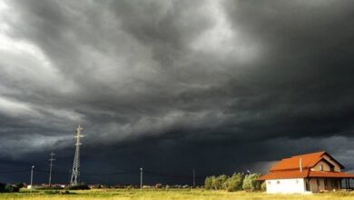 | MyTex.ro