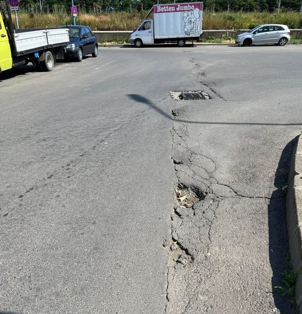 gropi1.jpg