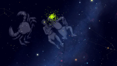 horoscop