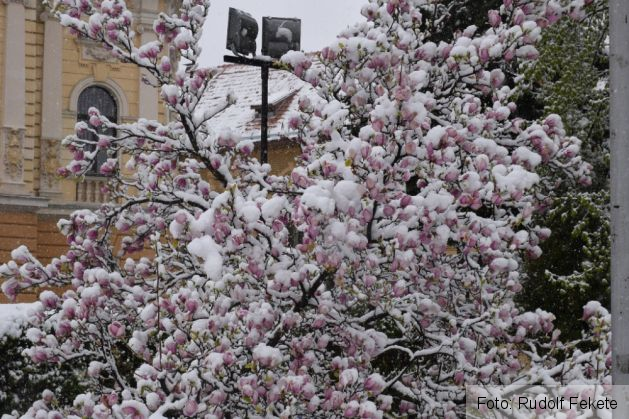 METEO BRAȘOV. Revin ninsorile! Perioada... 5 | MyTex.ro
