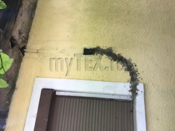image9_297553.jpeg