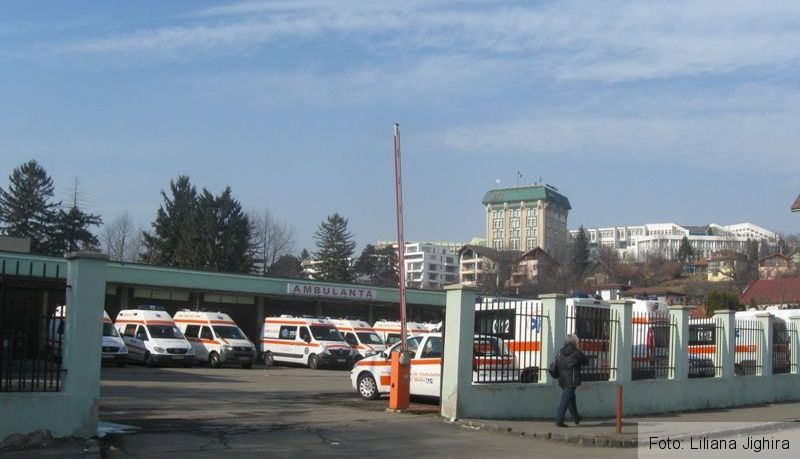 img-1768_3.jpg