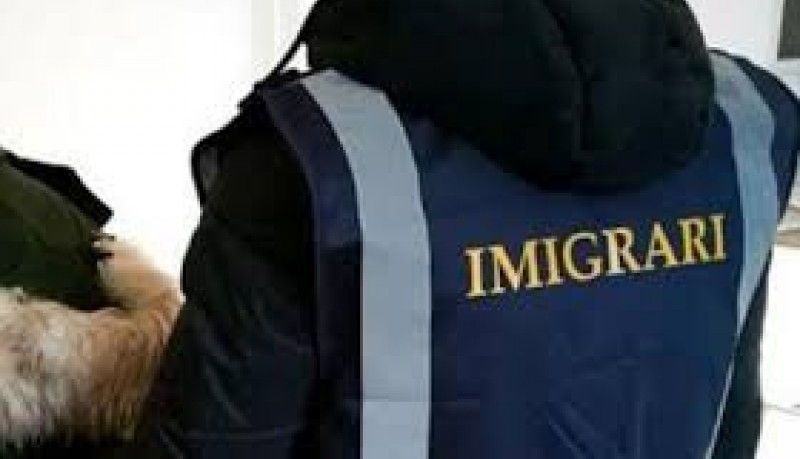 imigrari_3.jpg