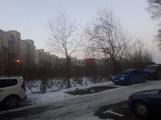 jepior (1)_295321.jpg