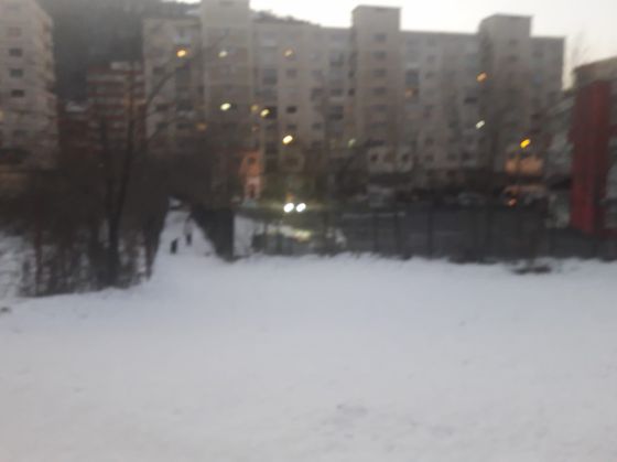 jepior (4)_295322.jpg