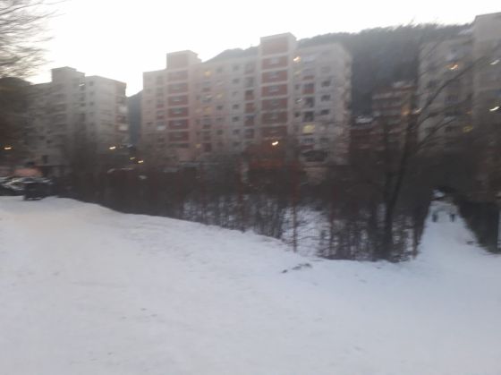jepior (5)_295323.jpg