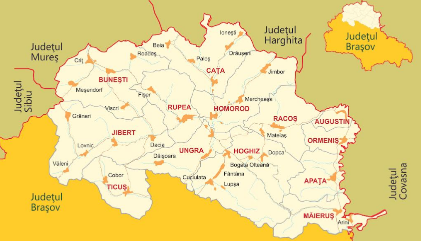 judetulbrasov.png