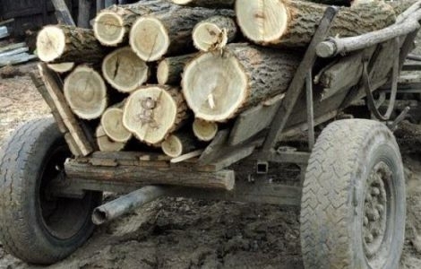 Județul BRAȘOV. Căruțași sancționați de polițiști 5 | MyTex.ro
