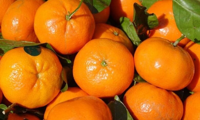 Cojile uscate de mandarine, vândute la preț de aur 3 Cojile | MyTex.ro