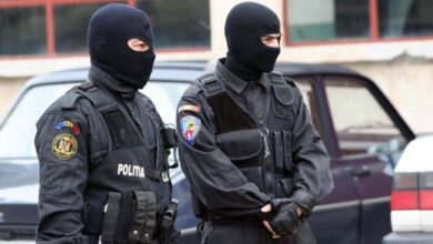 traficant | MyTex.ro