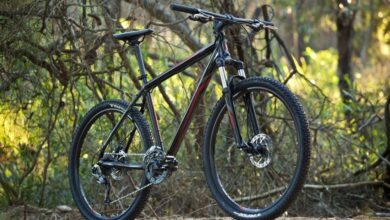 Se deschide Bike-park Postăvarul | MyTex.ro